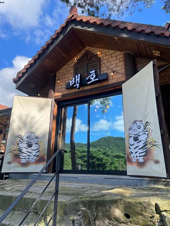 백호
