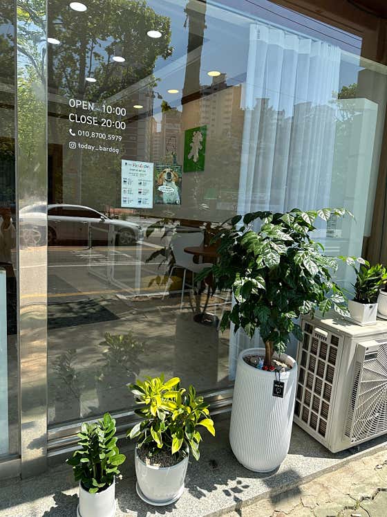 오늘도바르개 · 네이버 지도·플레이스 5
