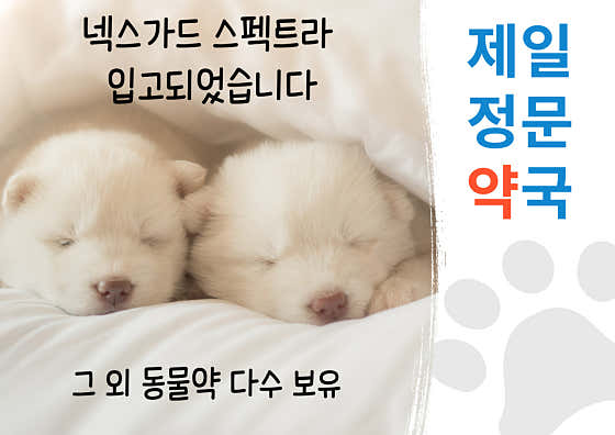 제일정문약국 · 네이버 지도·플레이스 3