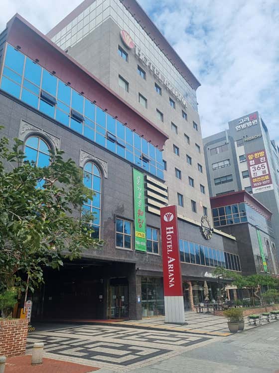 웨딩아리아나