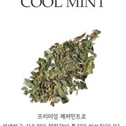 민트(hot/ice) 메뉴 사진(네이버)