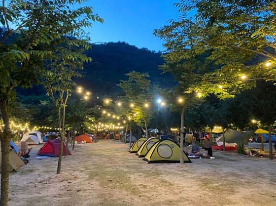 도마치자연그대로캠핑장 대표이미지