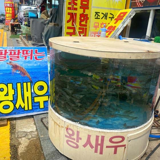 대하횟집 · 네이버 지도·플레이스 2