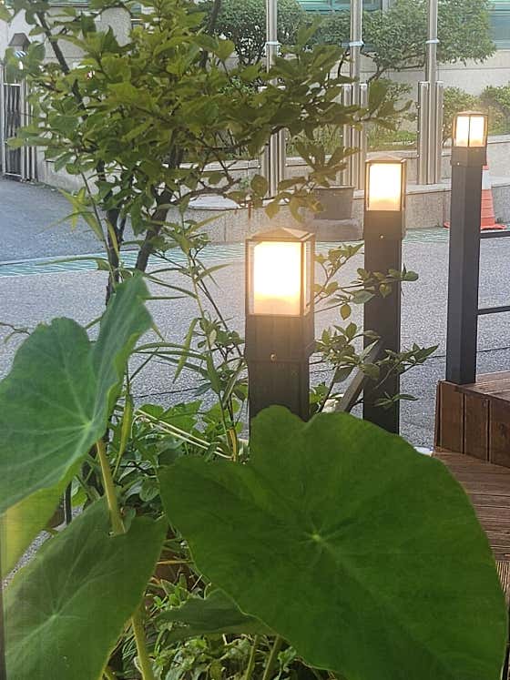 브런치카페루체 · 네이버 지도·플레이스 2