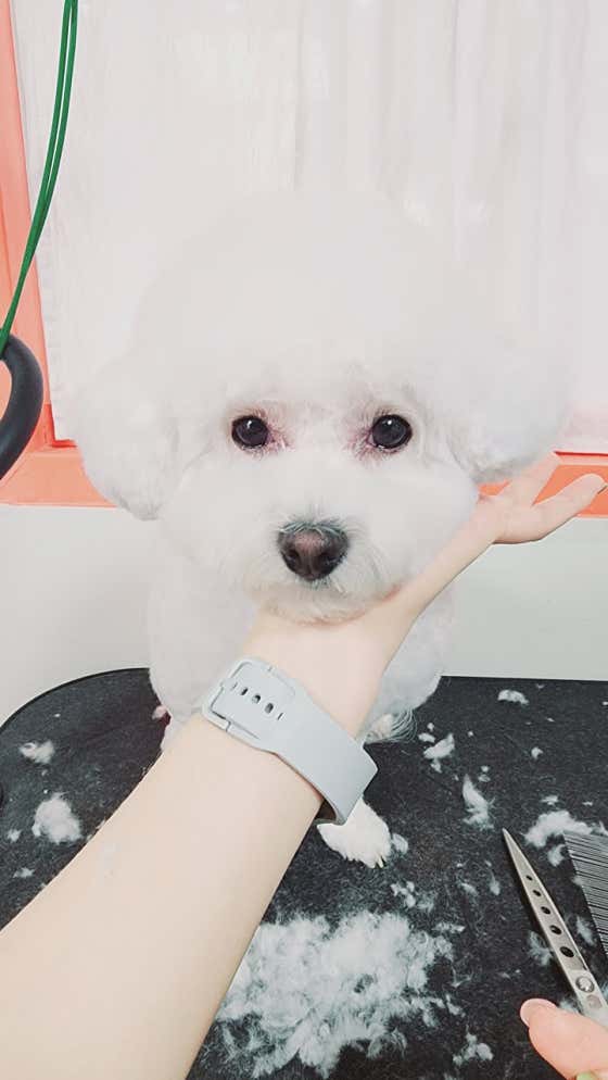 몽쉘몽봉 · 네이버 지도·플레이스 3