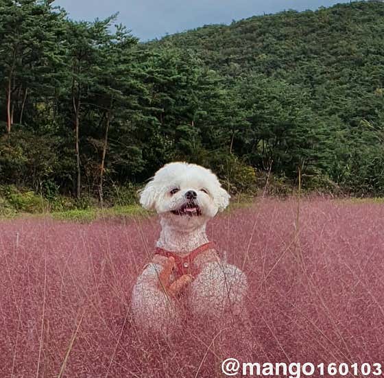 연다원 · 네이버 지도·플레이스 2