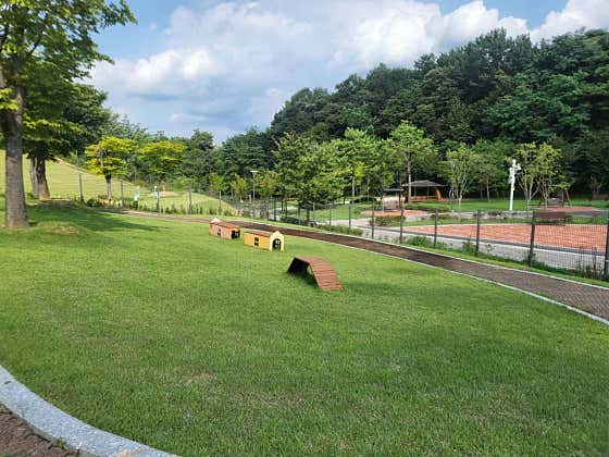 이천시진암공원반려견놀이터