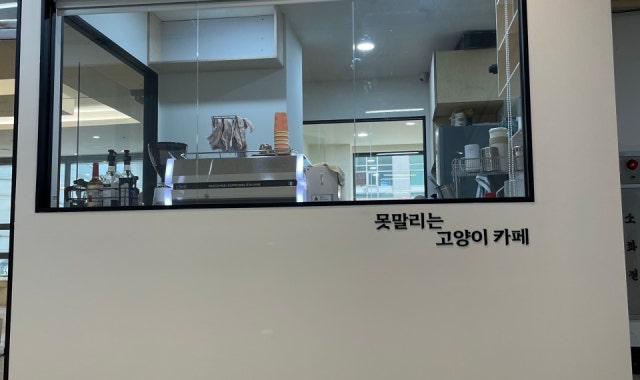 못말리는고양이 대표 사진