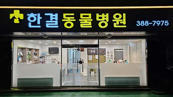 힘참동물병원