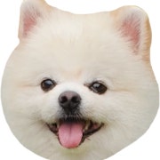 보호자님입장료 메뉴 사진(네이버)