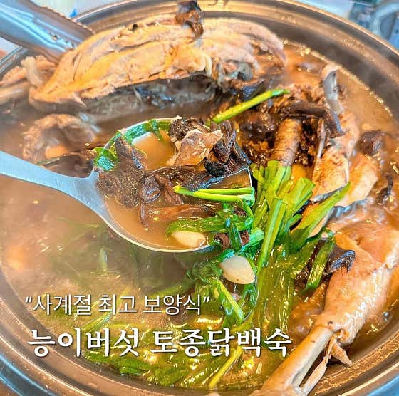 살아생전 꼭 가봐야하는 산골가든