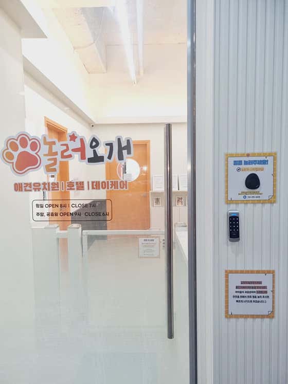 놀러오개 애견유치원 애견호텔 화성 병점진안점 · 네이버 지도·플레이스 6