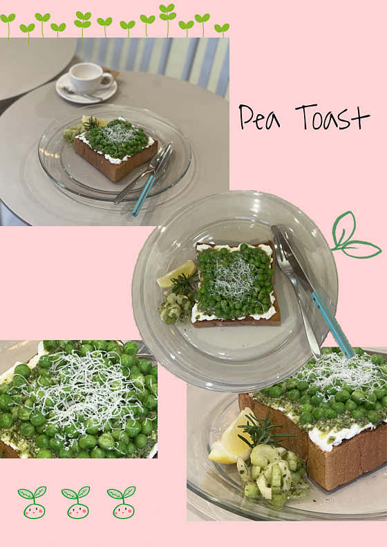 Pea Toast 메뉴 사진(네이버)