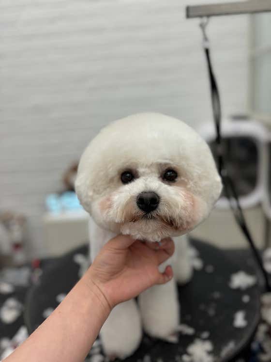 몽글몽글 · 네이버 지도·플레이스 9
