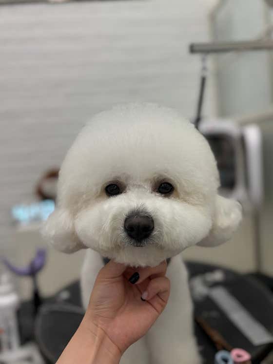 몽글몽글 · 네이버 지도·플레이스 7