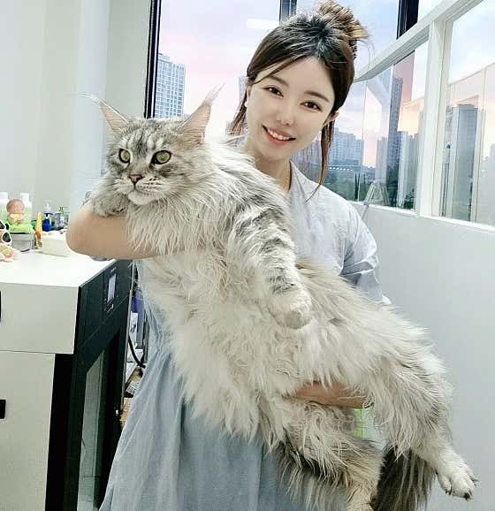 미사 고양이 미용 호텔 묘미앤
