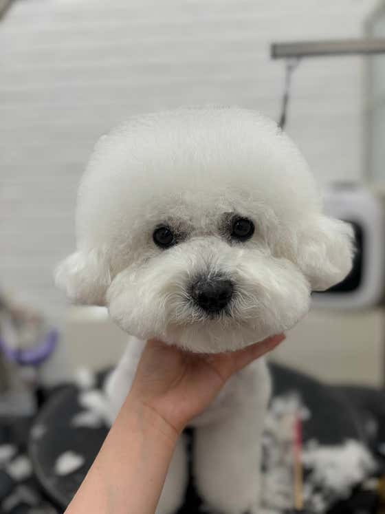 몽글몽글 · 네이버 지도·플레이스 10