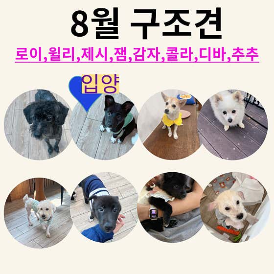 플레이스모어 · 네이버 지도·플레이스 4
