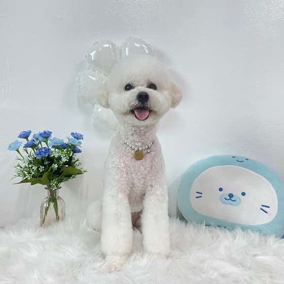 새롭개 · 네이버 지도·플레이스 2
