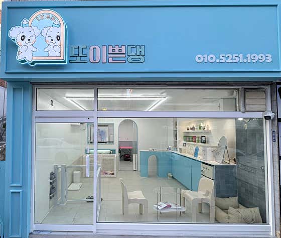 애견미용실 또이쁜댕 · 네이버 지도·플레이스 3