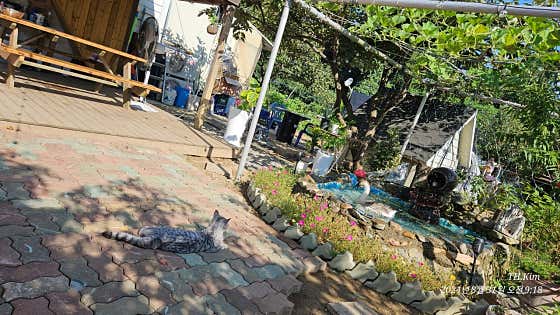 온비치422 · 네이버 지도·플레이스 7