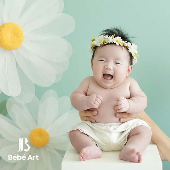 베베아르 스튜디오