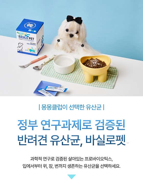 사랑하개 다산점