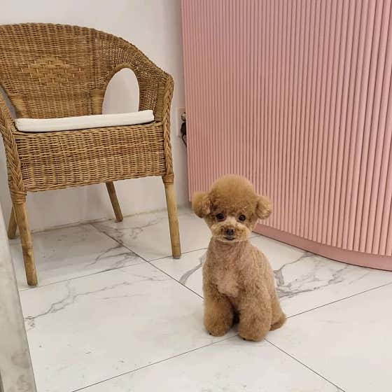 아이그루밍 · 네이버 지도·플레이스 8