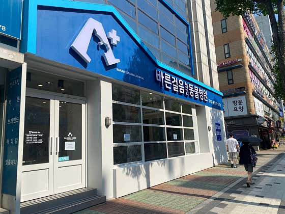 바른걸음외과동물병원 대표이미지
