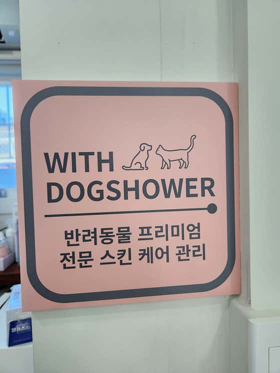 댕댕이미용실 · 네이버 지도·플레이스 8