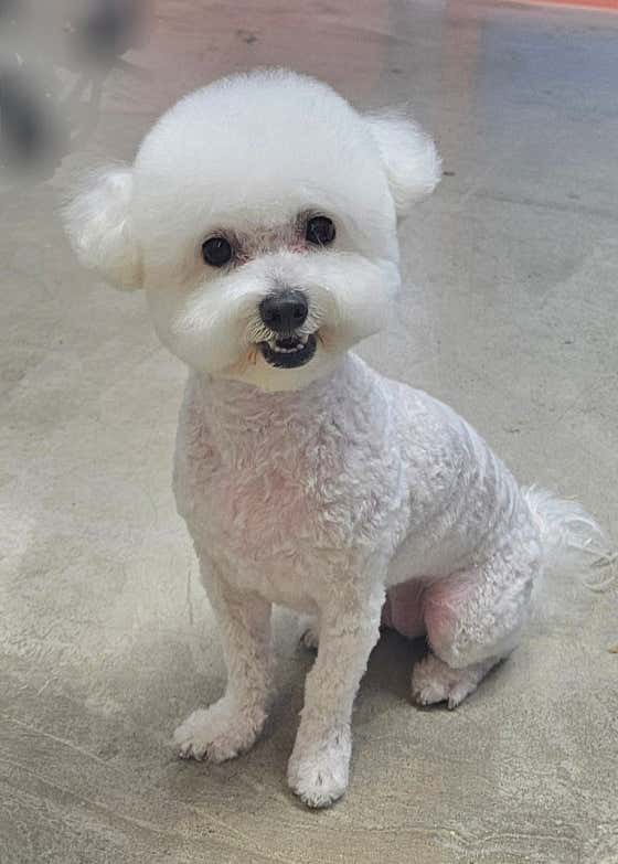 오늘도예쁘개 · 네이버 지도·플레이스 4