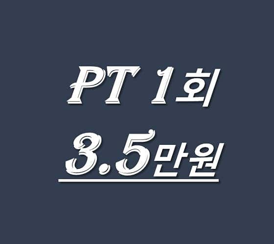 수완지구 PT 다짐