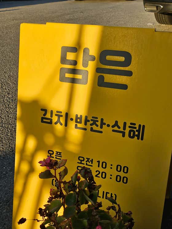 담은