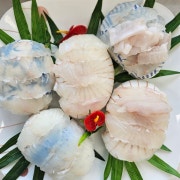 광어회 메뉴 사진(네이버)