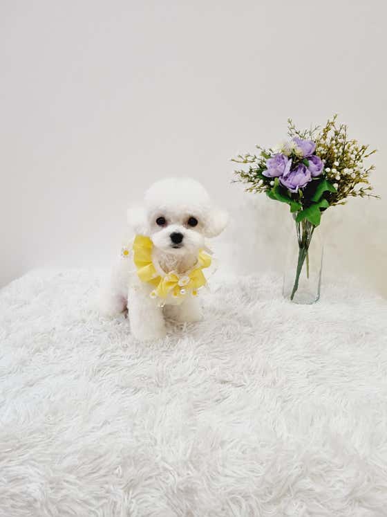 아이그루밍 · 네이버 지도·플레이스 10