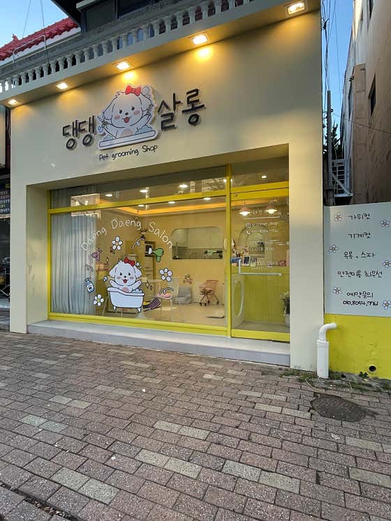 댕댕살롱 · 네이버 지도·플레이스 6