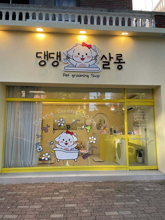 댕댕살롱