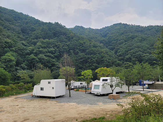 제니캠핑장 대표이미지