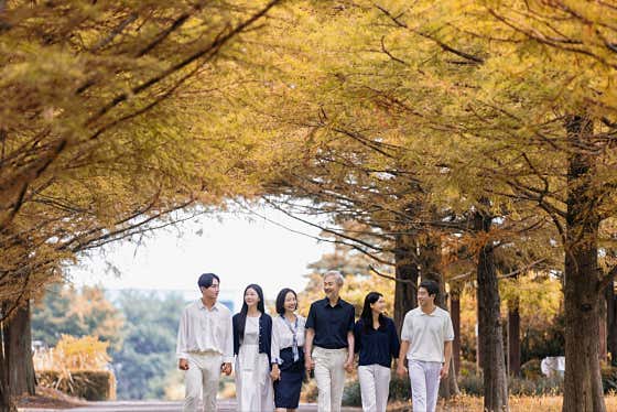 스튜디오소풍&더엠패밀리