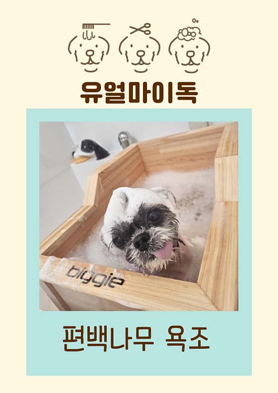 유얼마이독 · 네이버 지도·플레이스 3