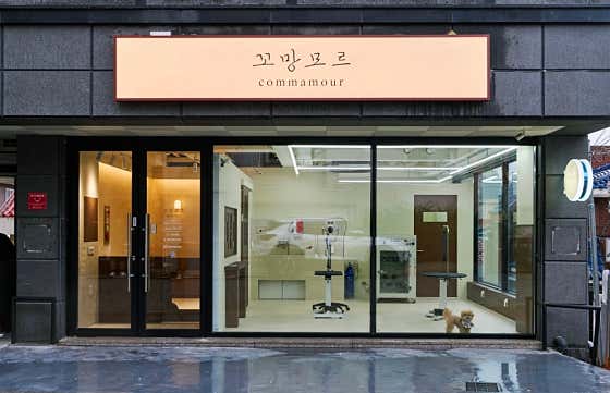 꼬망모르 애견미용실 · 네이버 지도·플레이스 2