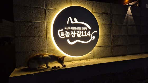 일로농장길114 · 네이버 지도·플레이스 2