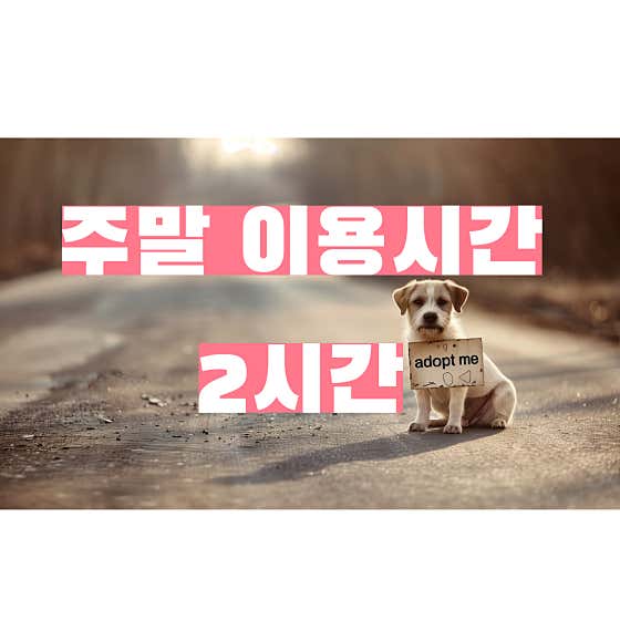 플레이스모어 · 네이버 지도·플레이스 3