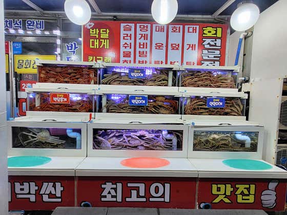 제철대게 · 네이버 지도·플레이스 2