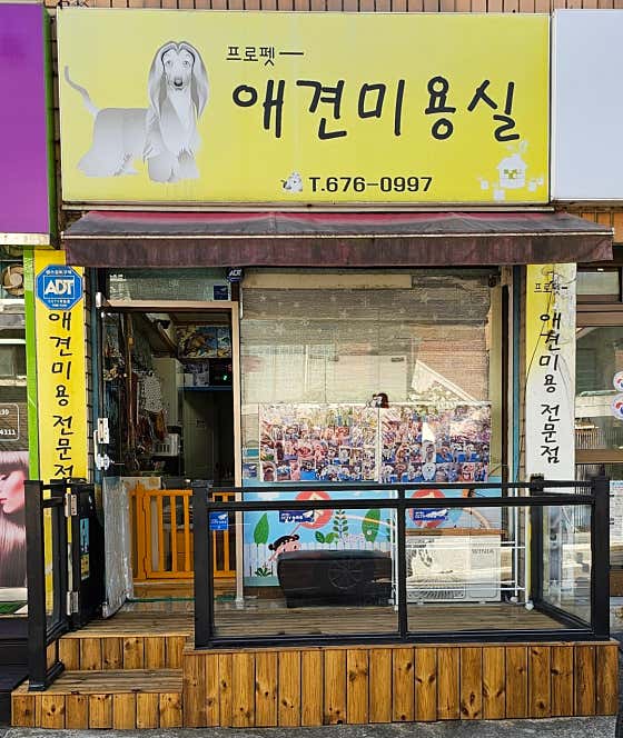 프로펫 애견미용실 대표이미지