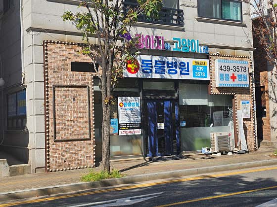 강아지와고양이나라 동물병원