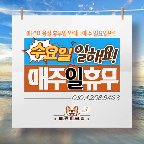 애견미용실 · 네이버 지도·플레이스 3