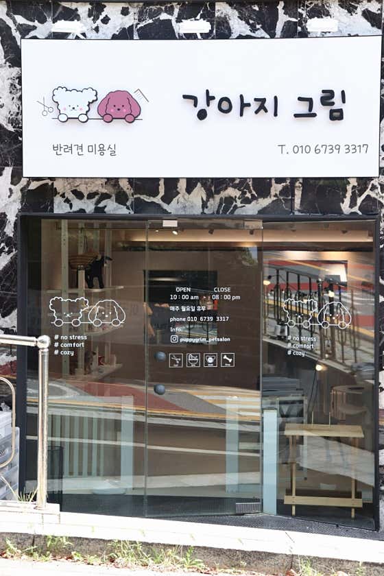 강아지그림 대표이미지