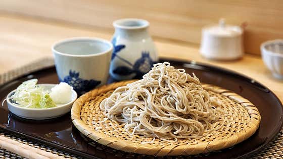 하루 사진