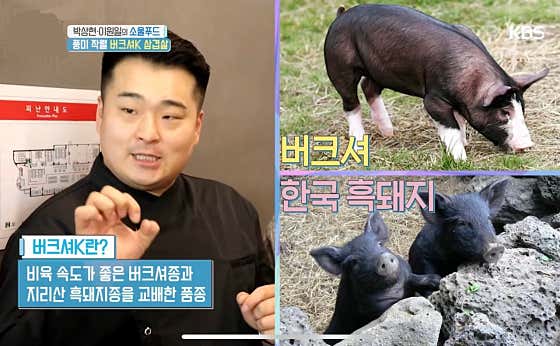 복현 · 네이버 지도·플레이스 9